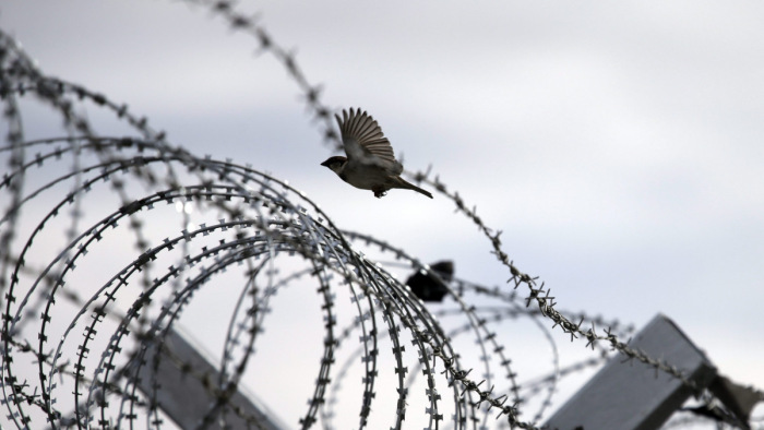 Droghálózatot is fenntartott a 25 éves migránscsempész mama