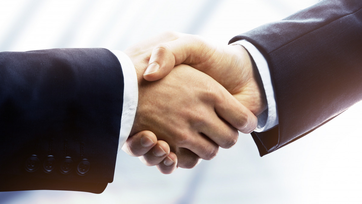two young businessmen shaking hands
