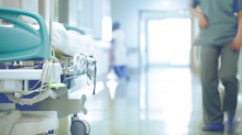Negyedik áldozatát szedte idén Kambodzsában a madárinfluenza